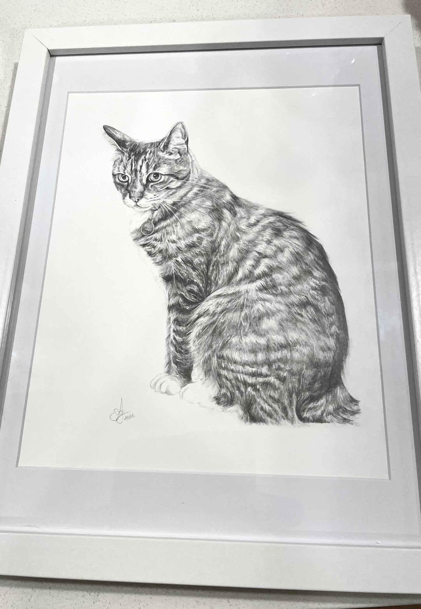 Custom Pet Art | Custom Pet Drawing Memorabilia