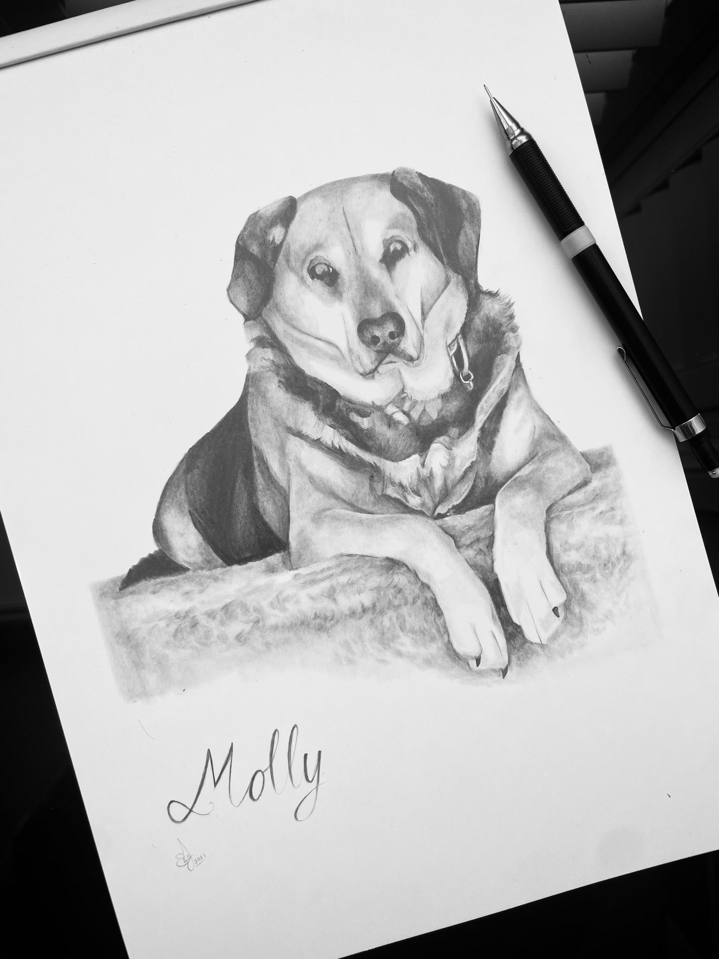 Custom Pet Art | Custom Pet Drawing Memorabilia