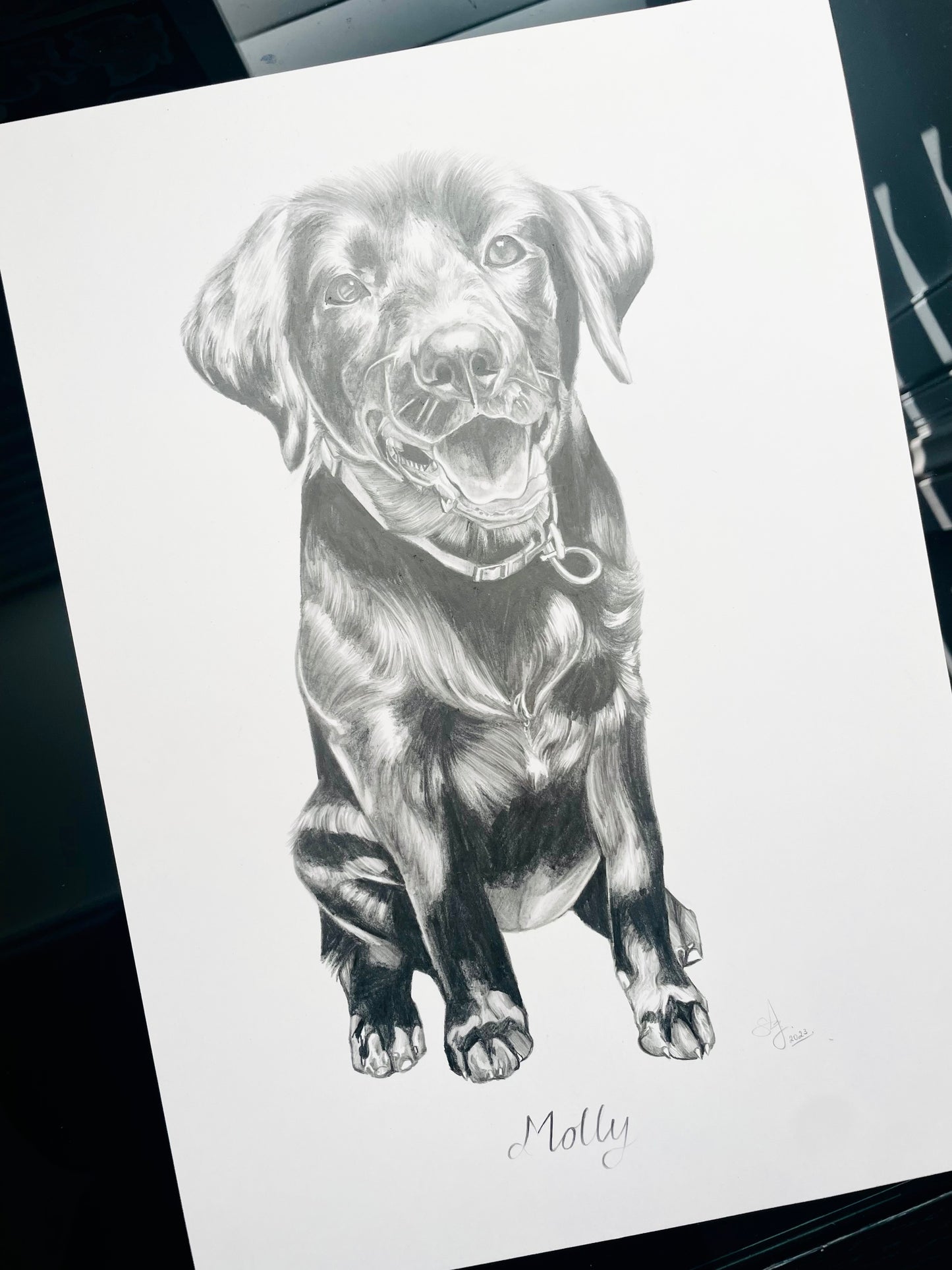 Custom Pet Art | Custom Pet Drawing Memorabilia