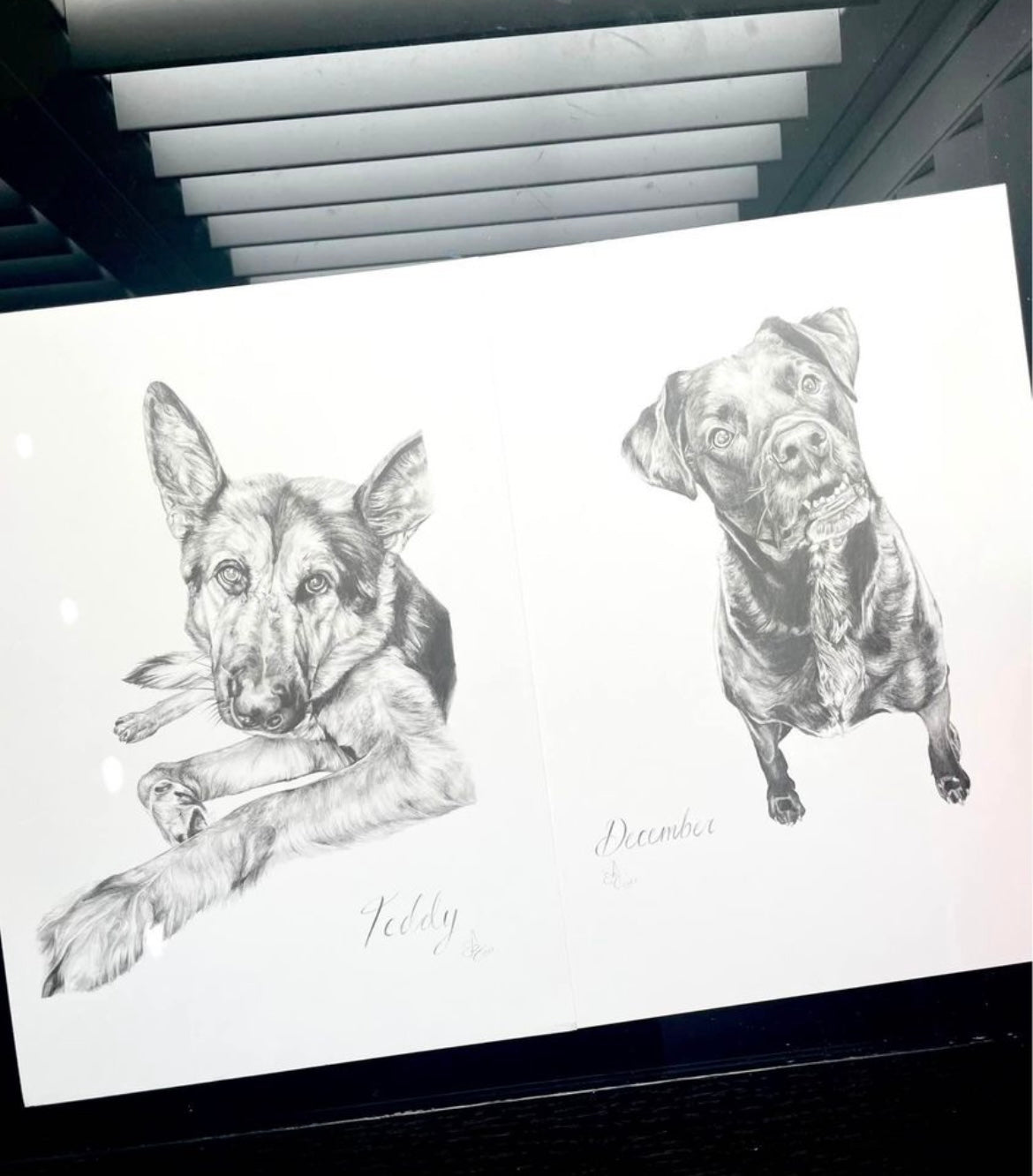 Custom Pet Art | Custom Pet Drawing Memorabilia