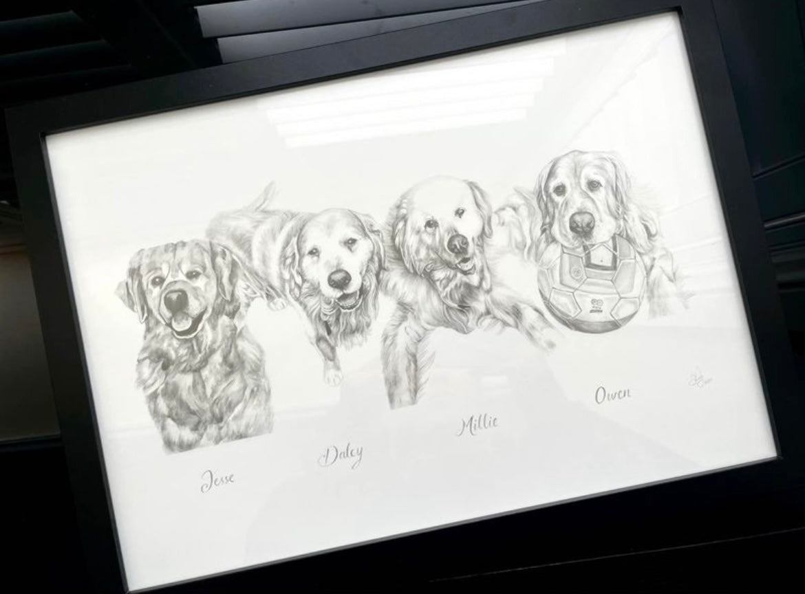 Custom Pet Art | Custom Pet Drawing Memorabilia